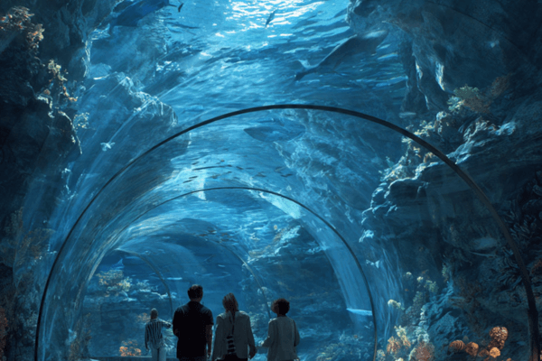 Abu Dhabi Sea World